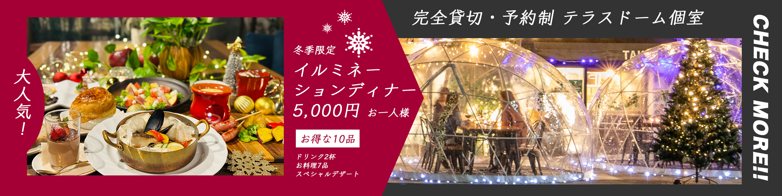 冬季限定 イルミネーションディナー 4,800円 完全貸切・予約制 テラスドーム個室