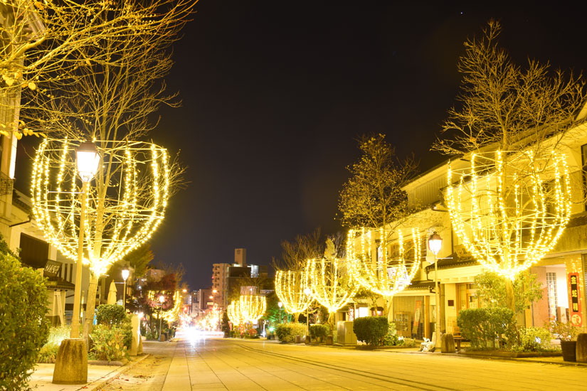 イルミネーションディナー